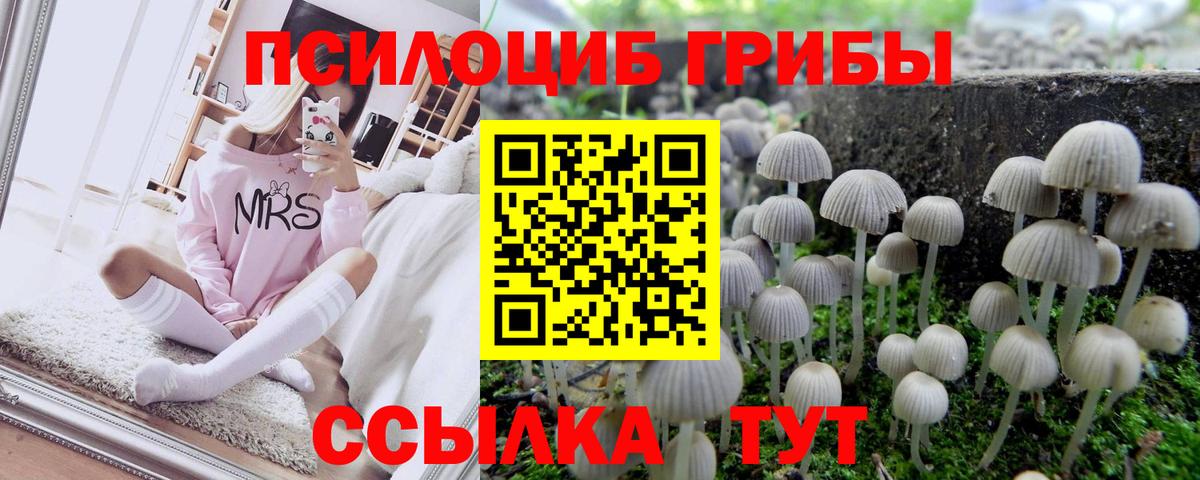 Галлюциногенные грибы GOLDEN TEACHER Шахты
