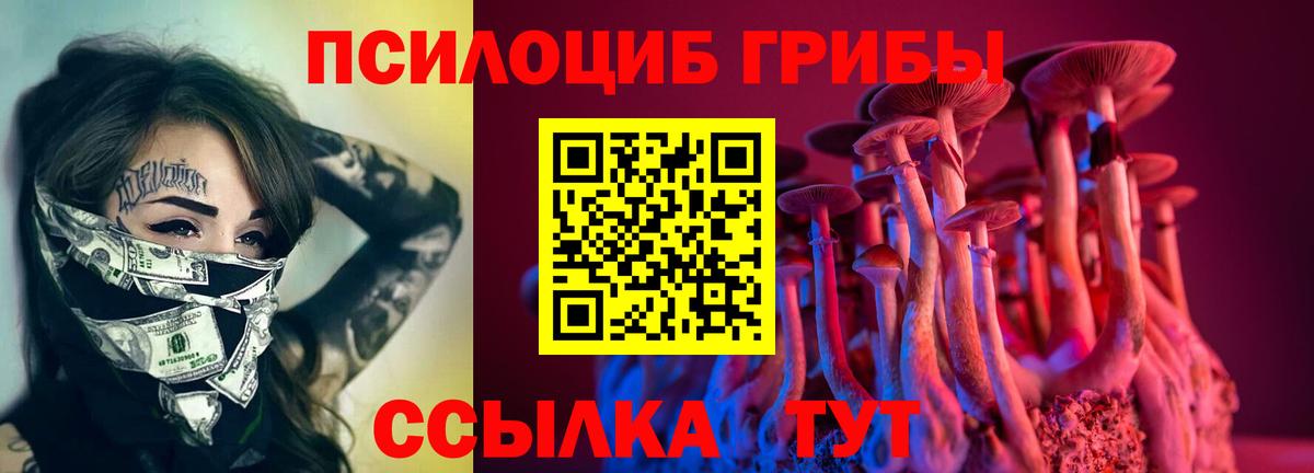Шахты  Галлюциногенные грибы Magic Shrooms  где продают   Вход с VPN 